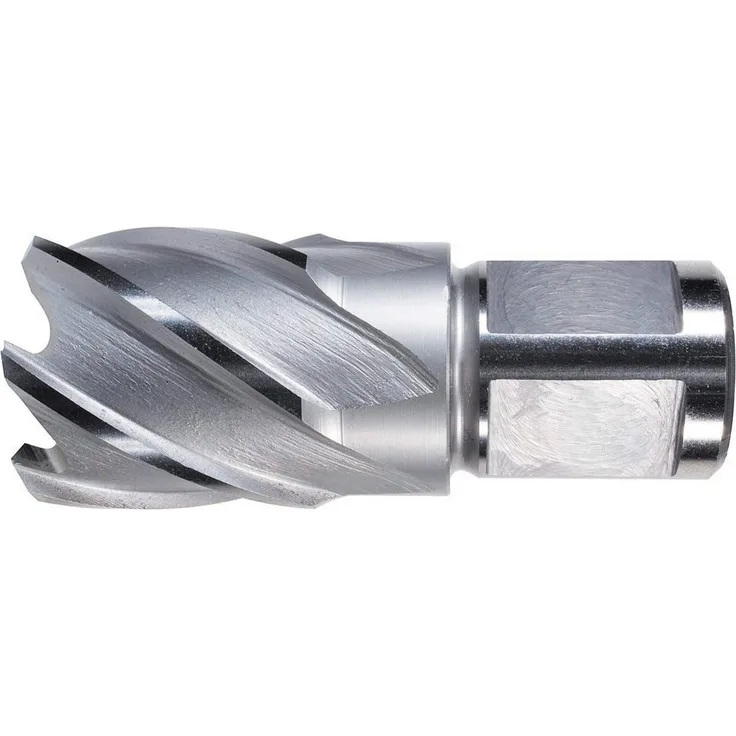ALFRA Kernbohrer HSS 22 mm, Lochsäge mit 30 mm Schnitttiefe und 19 mm Weldonschaft