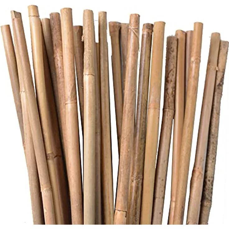 UNUS Bambusstäbe, Pflanzenstäbe zur Stabilisierung von Pflanzen im Garten, Rankstäbe Bambus 120 cm naturfarbend, 50 Stück