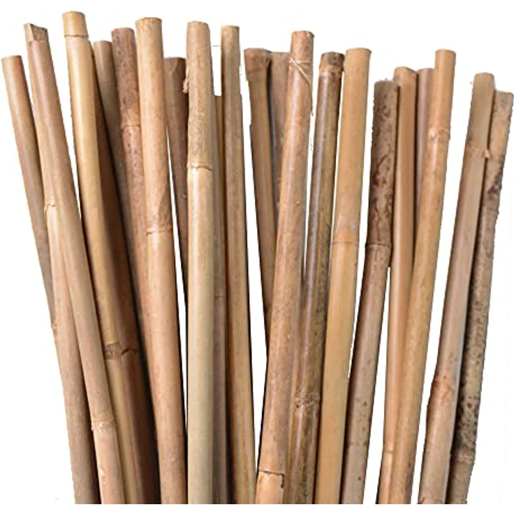 UNUS Bambusstäbe, Pflanzenstäbe zur Stabilisierung von Pflanzen im Garten, Rankstäbe Bambus 120 cm naturfarbend, 50 Stück – Bild 1