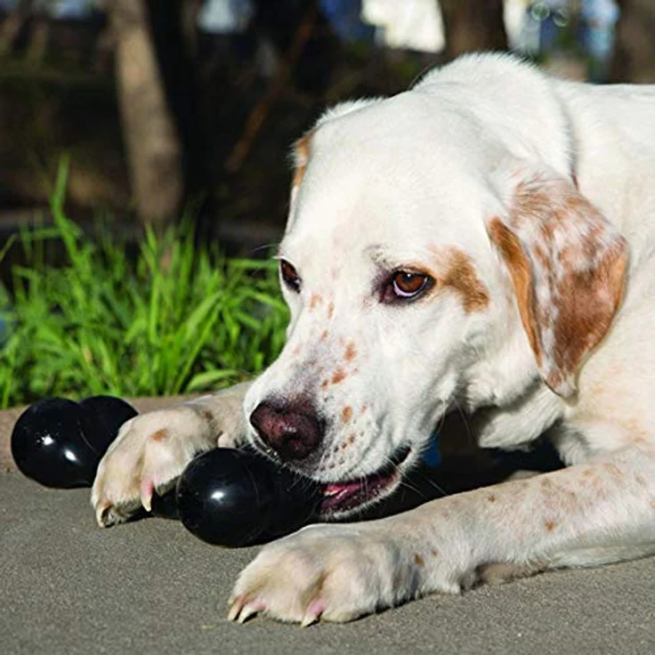 KONG – Extreme Goodie Bone – Robuster Kautschukknochen für Kräftiges Kauen, Schwarz – Für Große Hunde – Bild 2