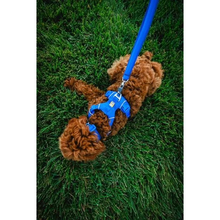 Ruffwear Front Range-Halsband, Hundehalsband mit V-Ring, längenverstellbares Haustier-Hundehalsband, bequemer weicher Stoff, Haustierhalsband mit Hundeleinen-Befestigungsring, Spring Fade 11"-14" – Bild 5