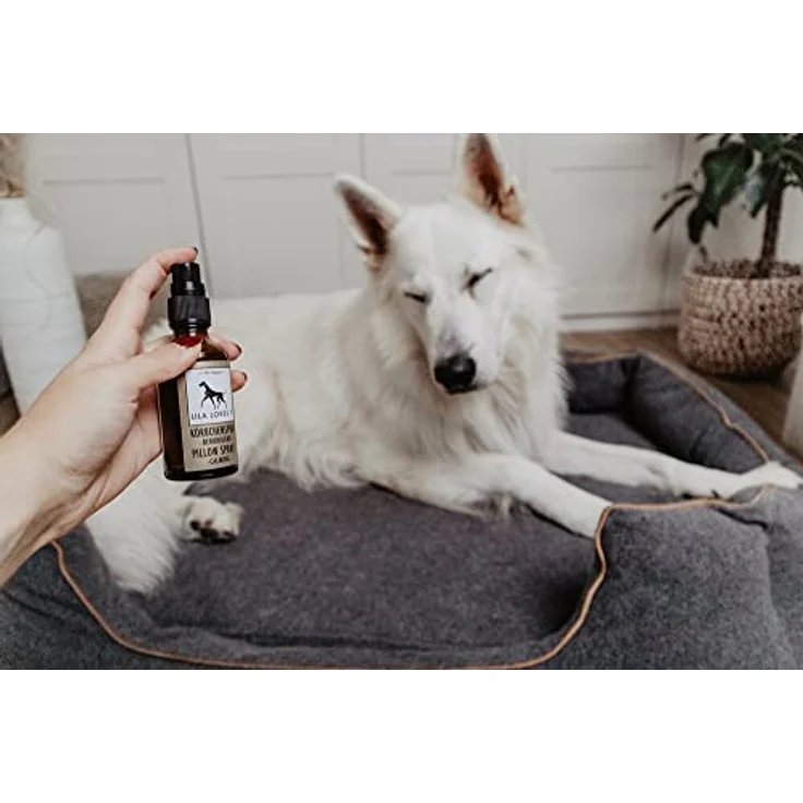 Raumspray für Hunde - natürliches Duftspray, mit ätherischem Lavendelöl, entspannt und neutralisiert schlechte Gerüche, KÖRBCHENSPRAY von LILA LOVES IT, 50 ml – Bild 2