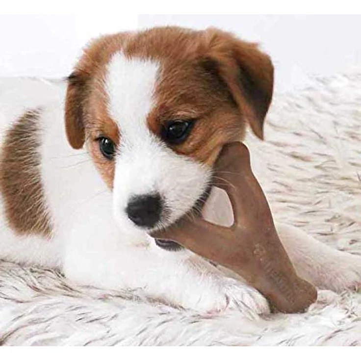Benebone - Puppy Wishbone Bacon S, 13cm - (854111004729) – Bild 2