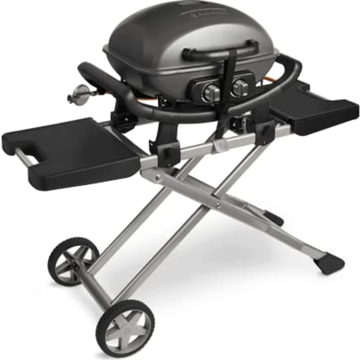 BURNHARD Tragbarer 2-Brenner Gasgrill WAYNE inkl. Rollwagen, 3,5 kW bis zu 300°C Kompaktgrill mit Aludruckguss Brennkammer inkl. Abdeckhaube, Gusseisen Grillrost, 2 Edelstahlbrenner mit Piezozündung – Bild 1