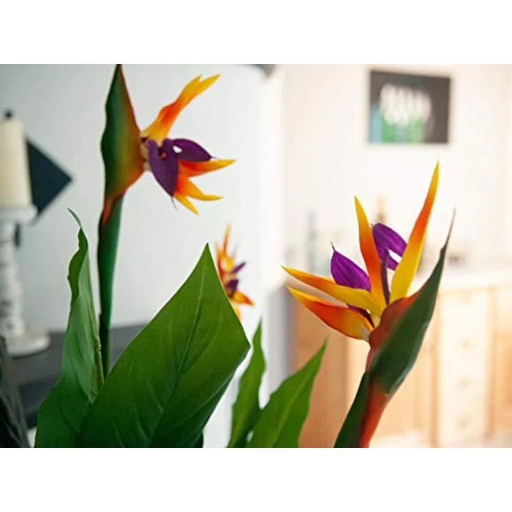 EUROPALMS Strelizie, Kunstpflanze, 90cm | Paradiesvogelblume aus hochwertigem PEVA – Bild 5