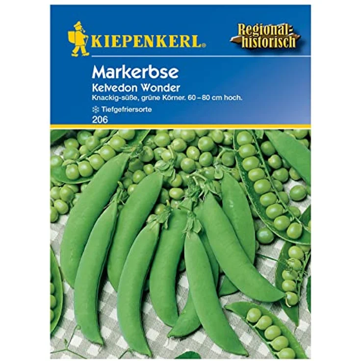 Kiepenkerl Markerbse Kelvedon Wonder, dunkelgrün knackig angenehm süß, tiefgefrier Sorte, für Eintöpfe und Gemüsebeilage – Bild 2