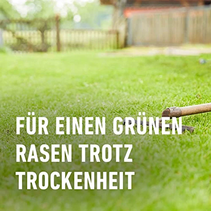 COMPO SAAT Trocken-Rasen, 1 kg für 50 qm – Bild 6