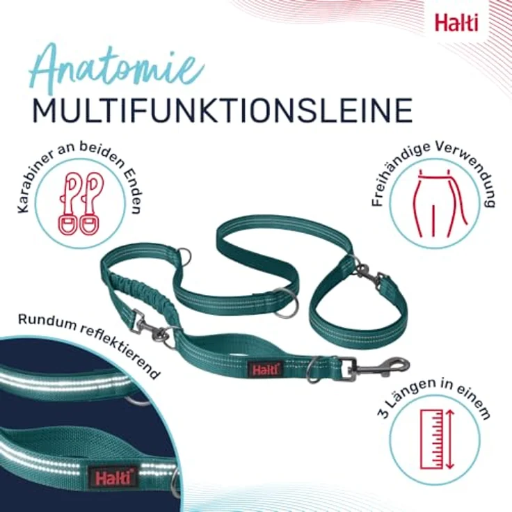 Company of Animals HALTI Anatomy Multifunktionsleine – Doppelführleine mit zwei Karabinern, Ruckdämpfer, verstellbar, reflektierend, blaugrün, Größe L für Welpen – Bild 2