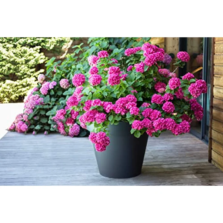 EDA PLASTIQUES ? Blumentopf Kunststoff 76L strahlenden Farben Zen D 60 cm x h 47 cm – Bild 3