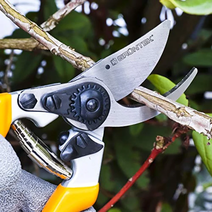 GRÜNTEK Gartenschere Z-25, für LINKSHÄNDER, Geschmiedete Premium Baumschere Rebschere 215mm, Bypass, ergonomische Griffe. Geld-ZURÜCK-GARANTIE !! – Bild 4