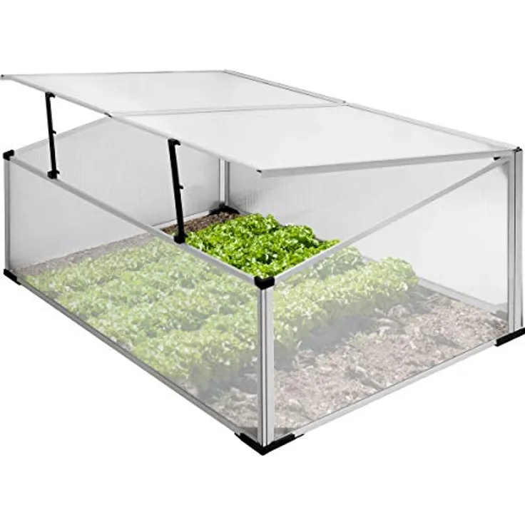 ECD Germany Alu Frühbeet Gewächshaus mit Zweiteiliges Dach, 100x60x40 cm, 0,6m² Fläche, aus transparentem Polycarbonat, witterungsbeständig, Treibhaus Frühbeetkasten Tomatenhaus Pflanzenhaus