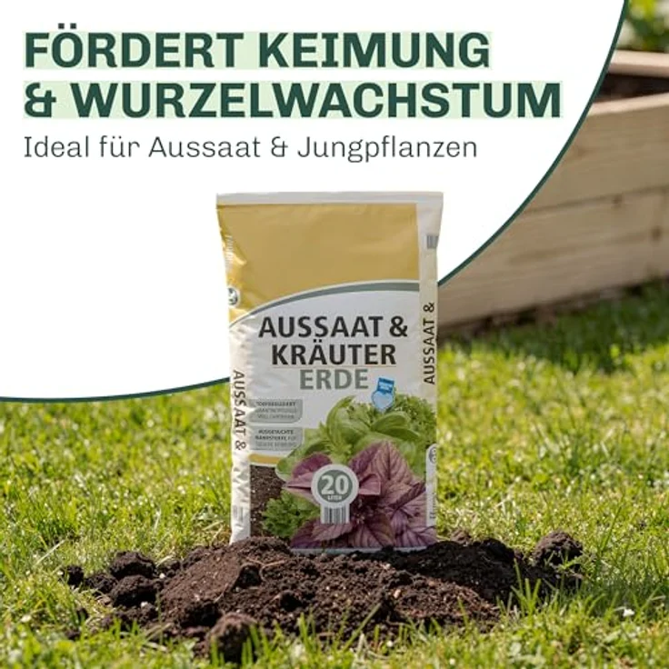 Blumixx Stauden Alchemilla sericata Gold Strike - Frauenmantel – Bild 3
