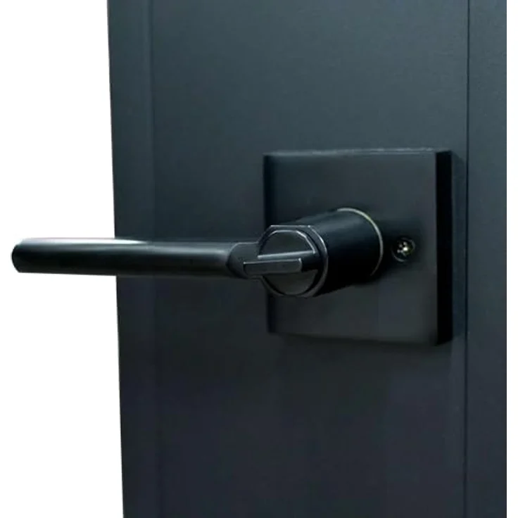 inova Glastür satiniert Komplettset 830x2115mm DIN links, Türschloss Drehtür mit schwarz pulverbeschichtetem Beschlag und Zarge, kratz- und stoßbeständig – Bild 3
