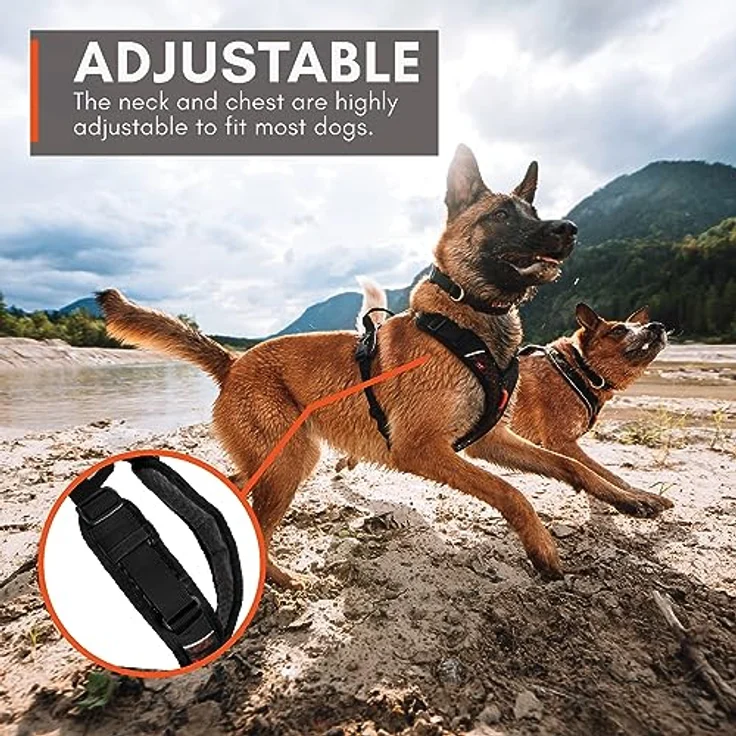 Non-stop dogwear Rock Harness |130| Führ- und Alltagsgeschirr, atmungsaktiv, Größe:L – Bild 4