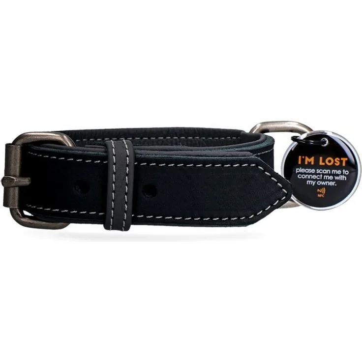 Spotted! Pro Hunde-Halsband Leder schwarz, 2,5x40cm, mit digitaler Hundemarke und optimalem Tragekomfort