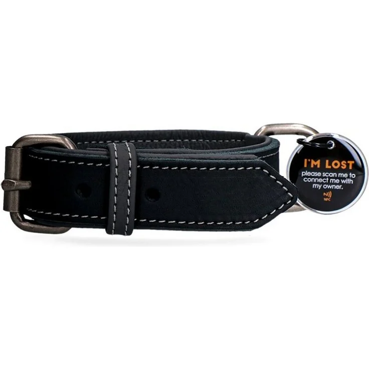 Spotted! Pro Hunde-Halsband Leder schwarz, 2,5x40cm, mit digitaler Hundemarke und optimalem Tragekomfort