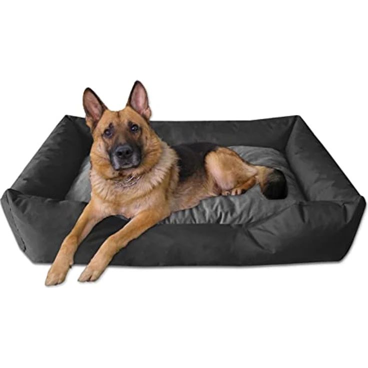BedDog® Hundebett Mimi, Hundesofa aus Cordura, Microfaser-Velours, waschbares Hundebett Vier-eckig mit Rand, Hundekissen für drinnen, draußen, S, grau-blau – Bild 4