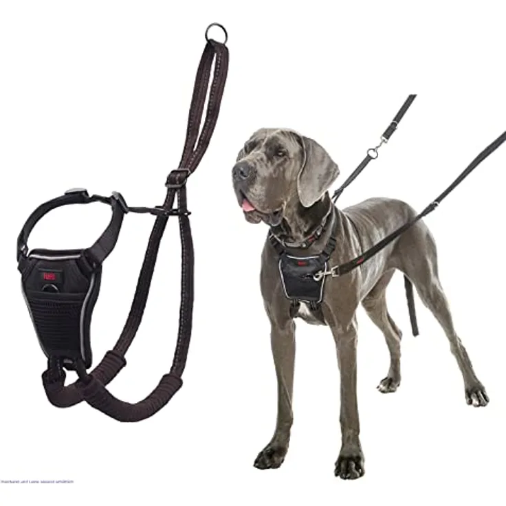 Company of Animals HALTI No Pull Anti-Zug Geschirr, Größe Groß - Gepolsterter Brust- und Beingurt, Reflektierendes Gurtmaterial, Einfache Anpassung und Benutzung
