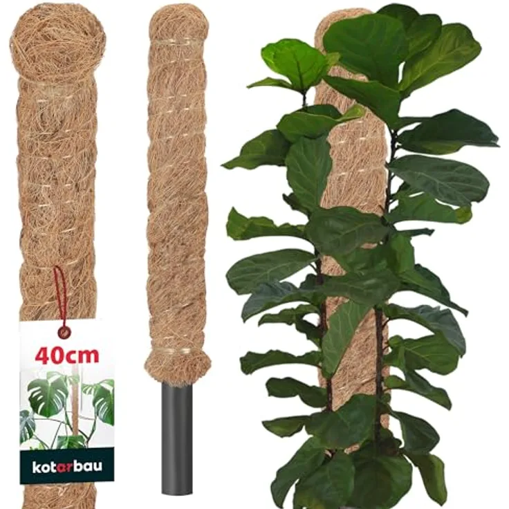 KOTARBAU Moosstab für Monstera, Kokos Natural ⌀ 2,5 x 40 cm, stabile Rankhilfe für Zimmerpflanzen