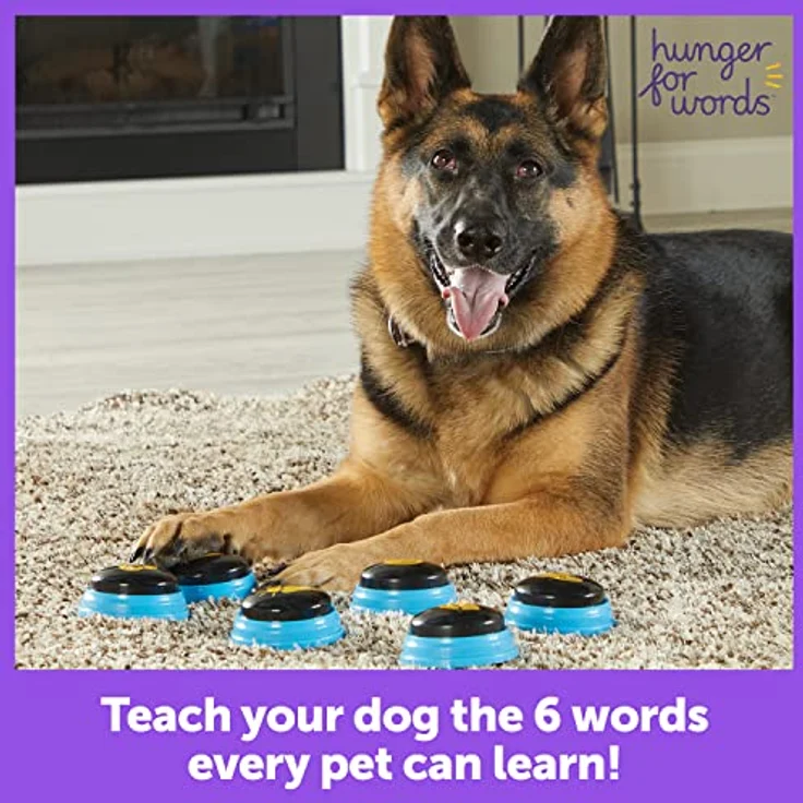 Hunger for Words Talking Pet Essential Words Set, Hundespielzeug – Bild 2