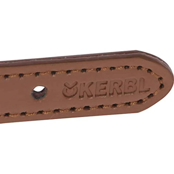 Kerbl Pet Maxi-Pet 80215 Halsband Phoenix, modisch und stabil aus Polypropylen-Nylon, blau – Bild 5