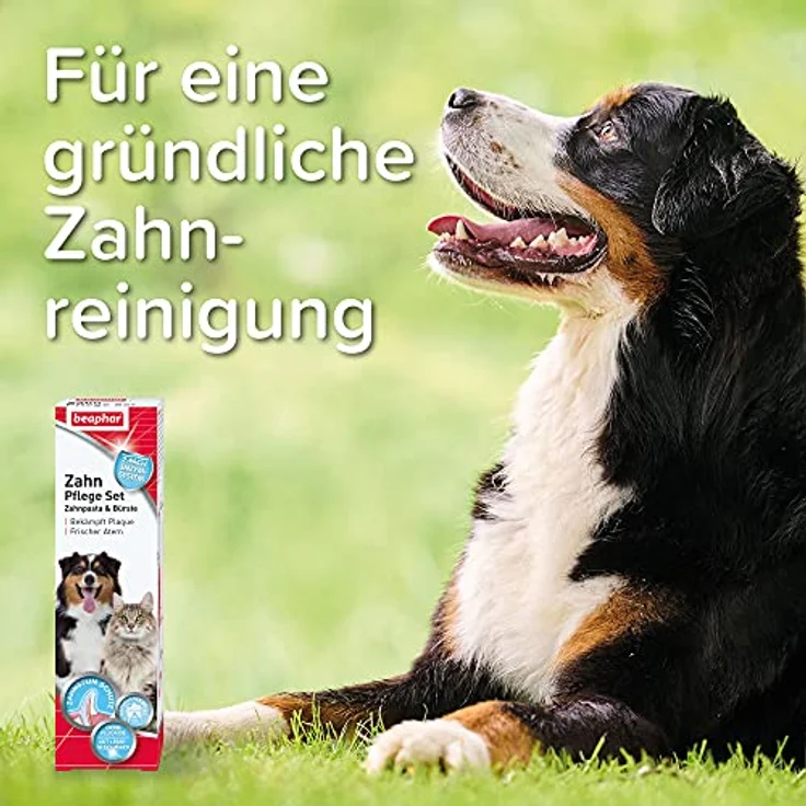 BEAPHAR - Zahnpflege Set Für Hunde Und Katzen - Doppelkopfzahnbürste Und Zahnpasta - Bekämpft Plaque Und Zahnstein - Mit Leber-Geschmack - Ohne Fluoride - Set mit 1 Zahnbürste + 100 g Zahnpasta – Bild 5
