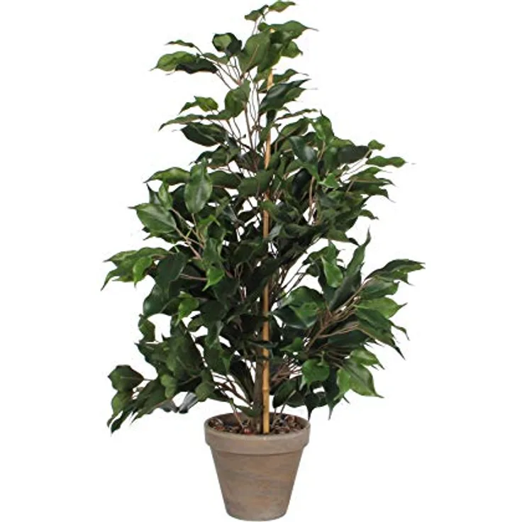 MICA Ficus Exotica Kunstpflanze, Polyester, Grün, H. 65 cm D 55 cm
