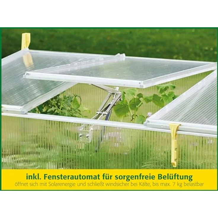 JUWEL Frühbeet Blumenbeet Biostar 1500 + Fensterautomat, Maße 150x80x50-40 cm – Bild 2