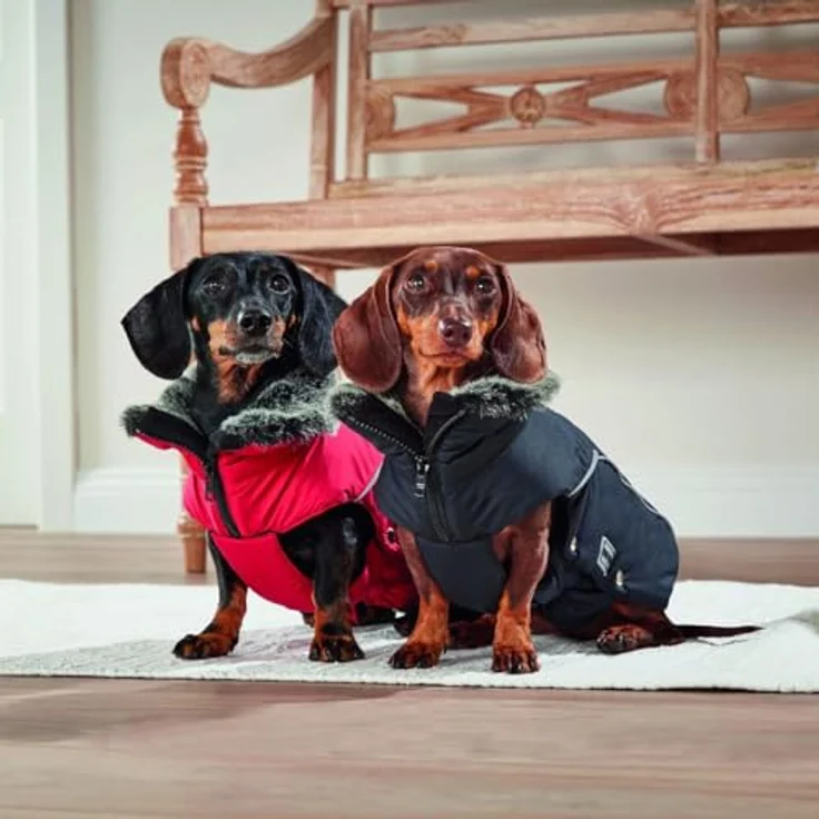 Wolters Hundemantel Winterjacke Amundsen für Dackel rot, mit Kunstpelz Kragen und reflektierenden Streifen – Bild 2