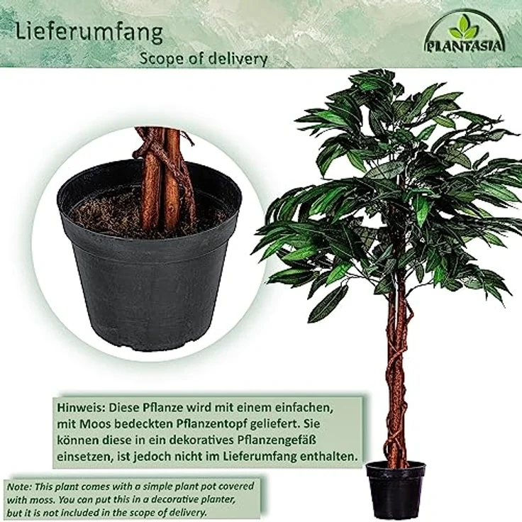 PLANTASIA Kunstpflanze - Mangobaum, Dekorativ, mit Topf, Grün, Naturholzstamm, Elegant, Indoor, Realistisch, 120/180 cm hoch - Falsche Pflanzen, Home, Office Decoration – Bild 3