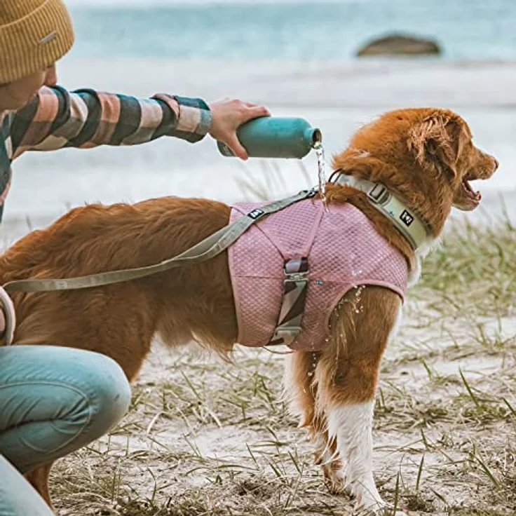 Hurtta Cooling Wrap Kühlweste für Hunde Kühljacke Hund Hundekühlweste Kühlendes Hundegeschirr Dog Cooling Vest Pet Cooling Vest Kühljacke für Hunde Gelb 45-55cm – Bild 3