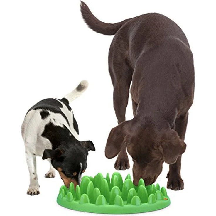 Northmate® Green - interaktiver Napf L: 40 cm B: 30 cm H: 10 cm grün – Bild 3