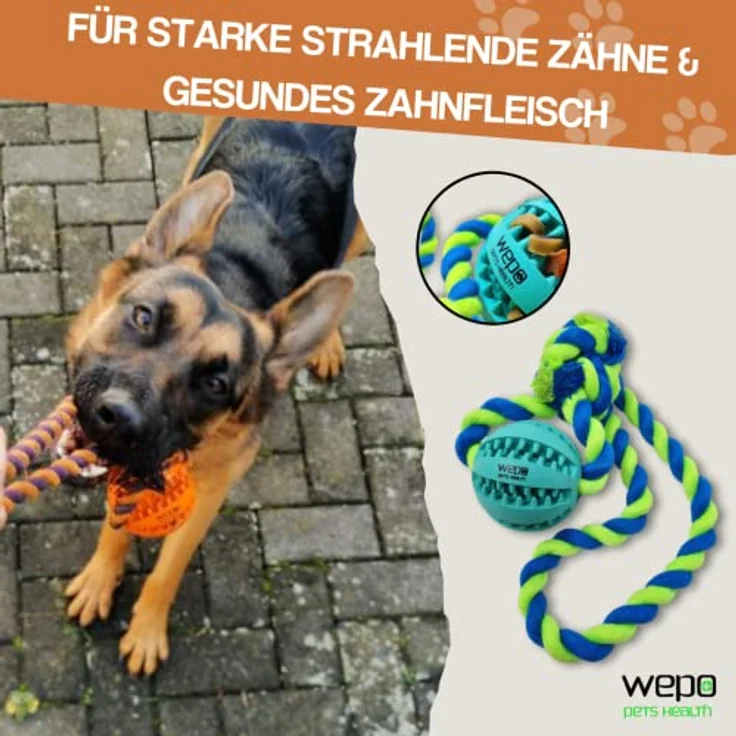 WEPO Wurfball für Hunde - Ø 5cm - Kleine Hunde Spielzeug - Naturkautschuk - Zahnpflegefunktion – Bild 4