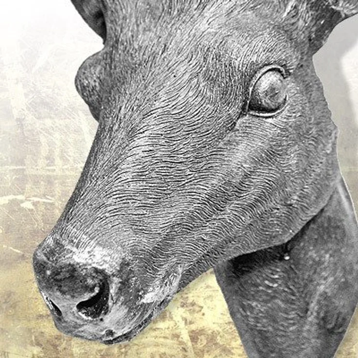 Hirschgeweih Silber Optik 10 Ender 40x30 cm Hirschkopf Wand Deko Jagd Geweih – Bild 5