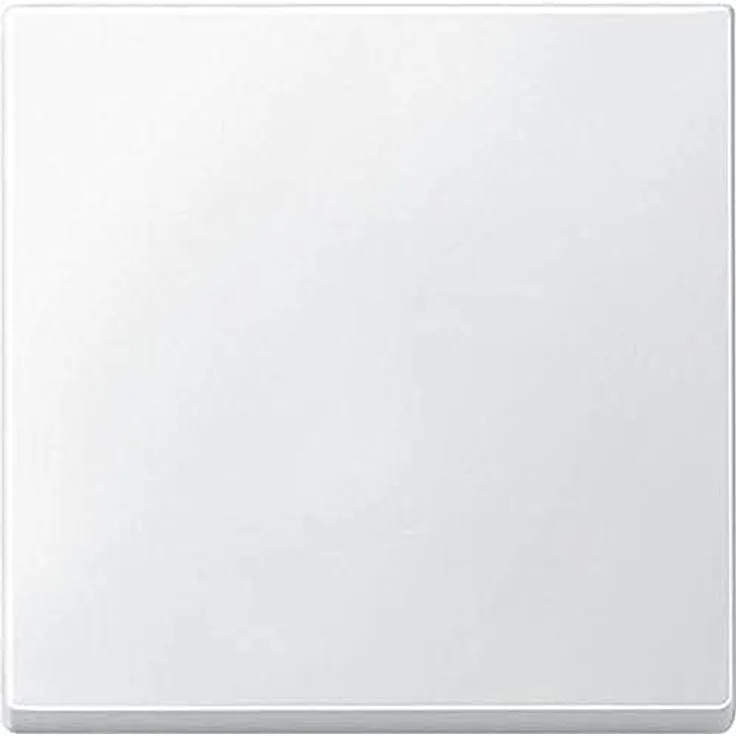 Schneider Electric Merten Wippe für Schalter, polarweiss, für Wechselschalter- und Taster-Einsatz, Artikelnummer 434119