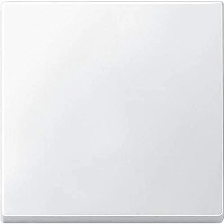 Schneider Electric Merten Wippe für Schalter, polarweiss, für Wechselschalter- und Taster-Einsatz, Artikelnummer 434119