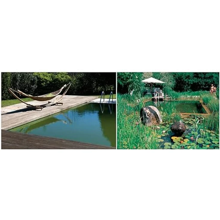 Dolphin DolphinS Cleaner Poolroboter Schwimmteichreiniger mit Active-Brushing, inkl. Fernbedienung und Caddy, für Naturpools bis 12 m Länge – Bild 6
