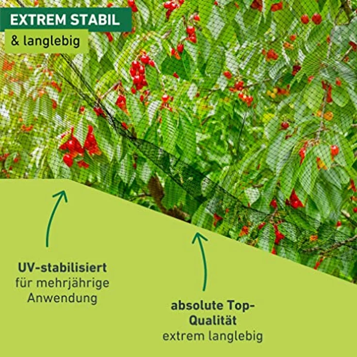 Windhager Vogelschutznetz Vogelabwehrnetz Baumnetz Ortonet schützt Obstbäume vor Vogelfraß, Maschenweite 13 x 13 mm, Größe 10 x 4 m, schwarz, 06014 – Bild 4