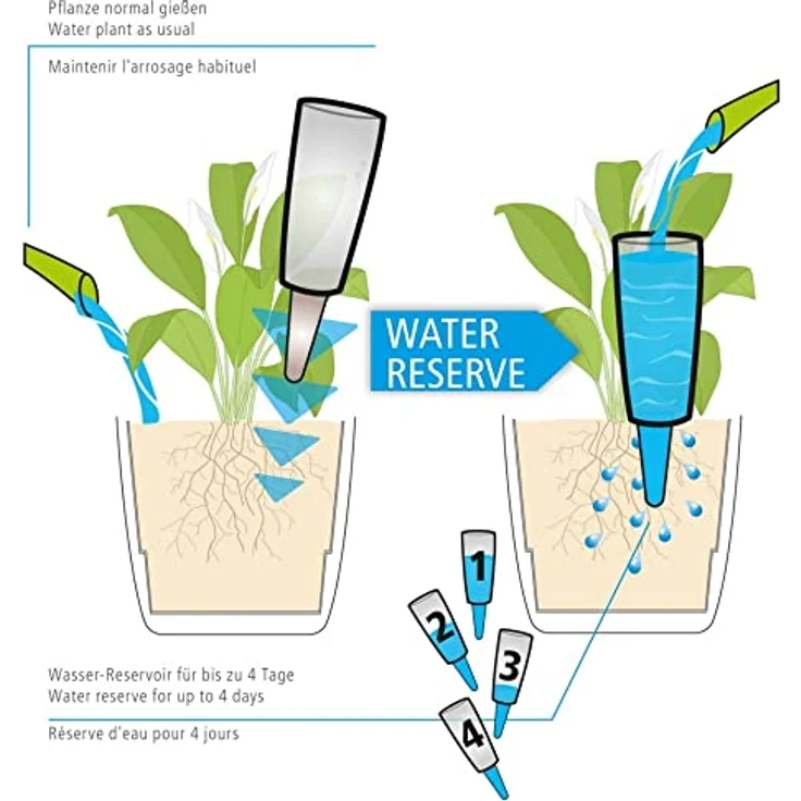 Scheurich Wasserspeicher Gießkanne, 110 ml mit wasserdurchlässigem Tonkegel für Innen und Außen – Bild 6