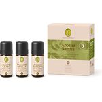 PRIMAVERA SET Aroma Sauna Frische & Energie 1 St Konzentrat, 3 Bio Aroma Sauna-Aufgüsse in einem Set
