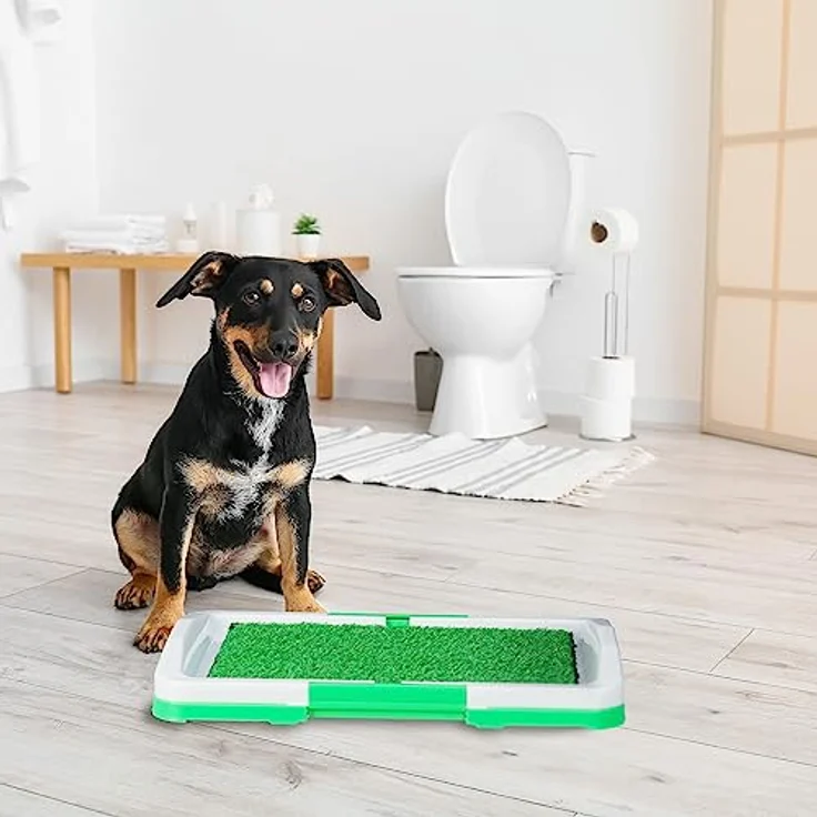 relaxdays Hundetoilette Hundeklo mit Rasen, Stubenreinigung für Welpen, kranke und alte Hunde, Grün, Weiß – Bild 5