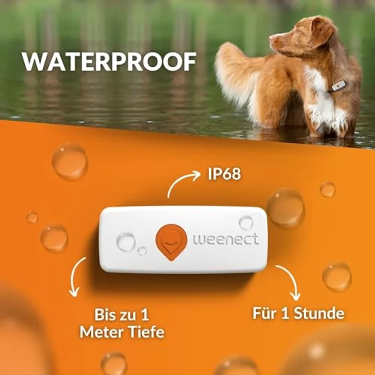 Weenect XS für Hunde - NEU Mini GPS-Tracker für Hunde | GPS-Tracking in Echtzeit | Kleinstes Modell auf dem Markt | Abonnement | Wasserdicht – Bild 3