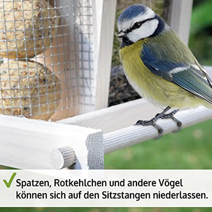 Zooprinz Vogelhaus "Bird Kitchen", Futterstation aus wetterfestem Vollholz mit Plexiglasscheiben, Schutzdach und Sitzstangen, in Weiß oder Naturbraun – Bild 8