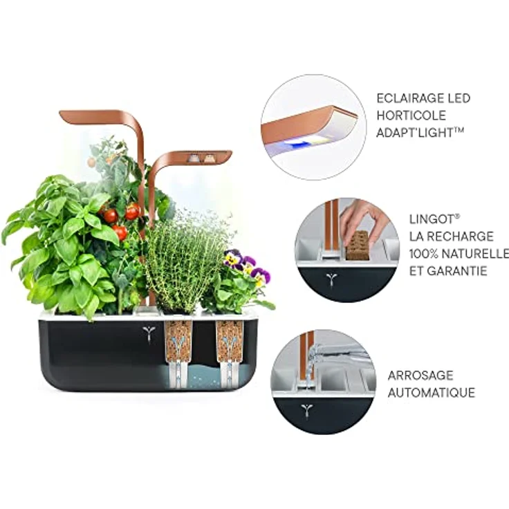 Veritable Véritable SMART Anzuchttopf, Indoor-Garten mit Adapt’Light LED-Technologie für 4 Pflanzen, Made in France – Bild 3