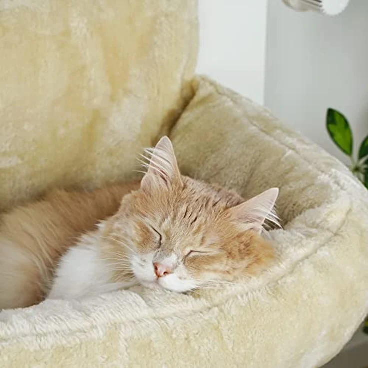 SCHLITZOHR | Premium Katzenbett | Lucky | kuschelige Heizungsliege für Katzen – Bild 4