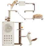 Feandrea Clickat Land - Kletterwand Katzen, 7er Set, schnelle Montage, erweiterbar, austauschbare Module, Kratzbaum, Katzenbrett, Hängematte, Katzentreppe, Futterstation - Modernes Design