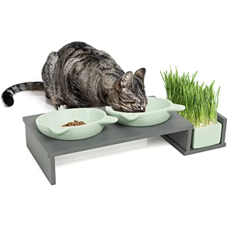 CanadianCat Company | Katzennapf erhöht, Futternapf Katze Cat Diner mit DREI Keramik Näpfen, Ø14,5 cm Fressnapf, Futterschale, Futterstation, mintgrün/grau – Bild 1