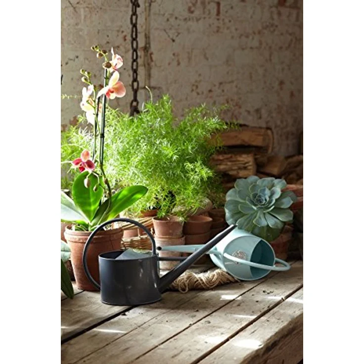 Burgon & Ball Sophie Conran Buttermilk Indoor Can – Bild 2