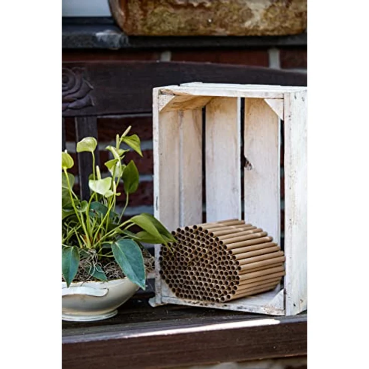 CULT at home 200 Nisthülsen für Wildbienen Insektenhotel Ø 6 mm - Länge 15 cm – Zubehör Füllmaterial Ersatz zum Nachfüllen Bauen und Basteln von Nisthilfen Bienenhotel – Bild 3