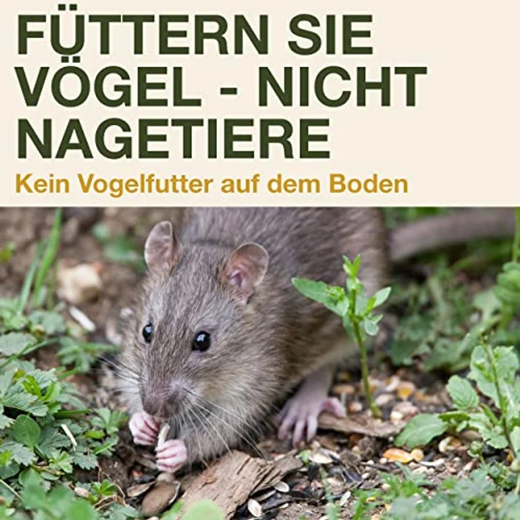 SWISSINNO Vogel-Futtersilo Davos SMART BIRDS. Füttern Sie Vögel - Nicht Nagetiere! Robust + Zuverlässig zum Aufhängen. Wiederverwendbar. 2 Futterkammern. Made in EU. Hellgrau – Bild 4